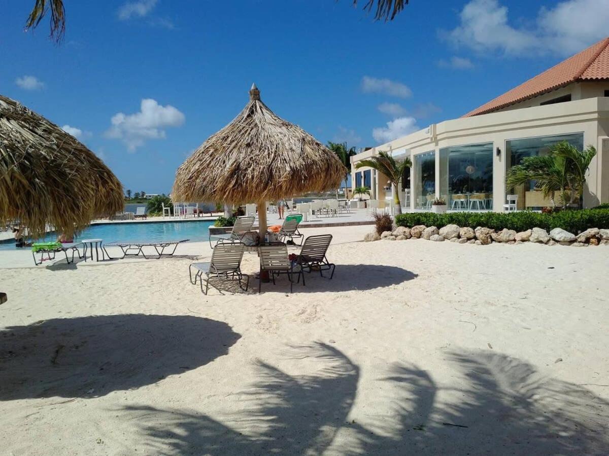 Special House In Gold Coast With Private Jacuzzi Villa Palm Beach Kültér fotó